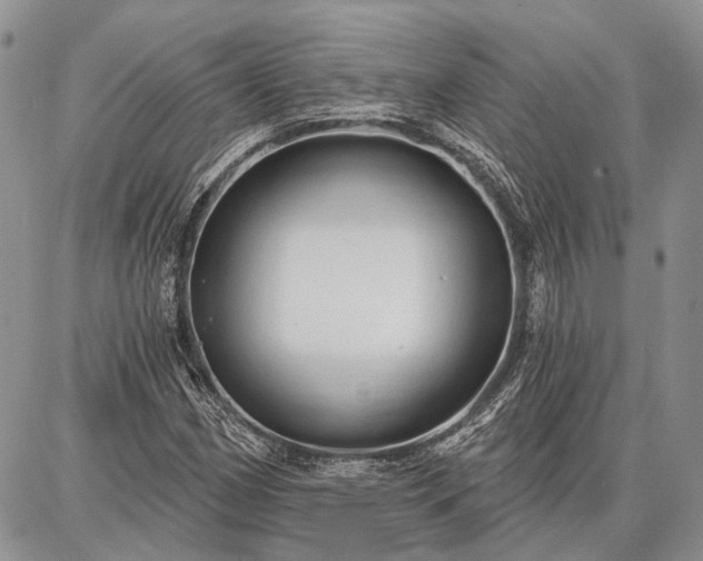 X0000086881162200704231055