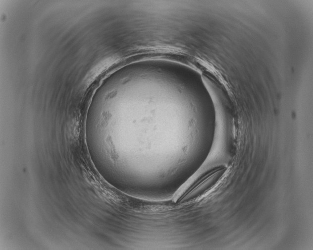 X0000086881163200704231055