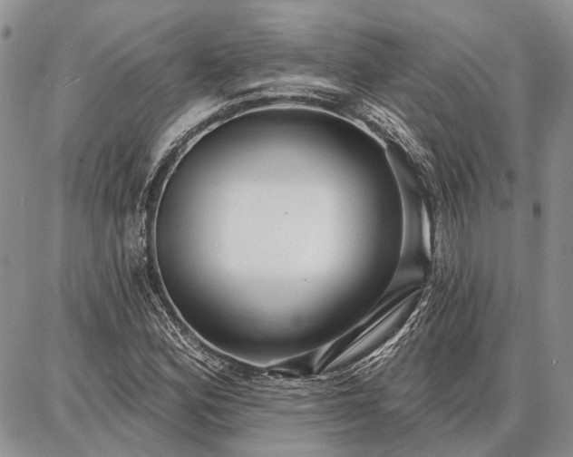 X0000086881164200704231055