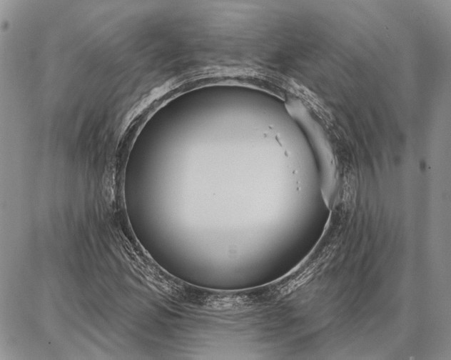 X0000086881165200704231055