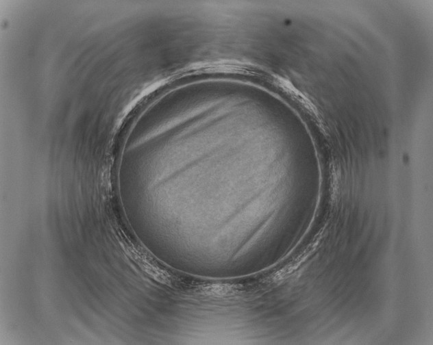 X0000086881166200704231055