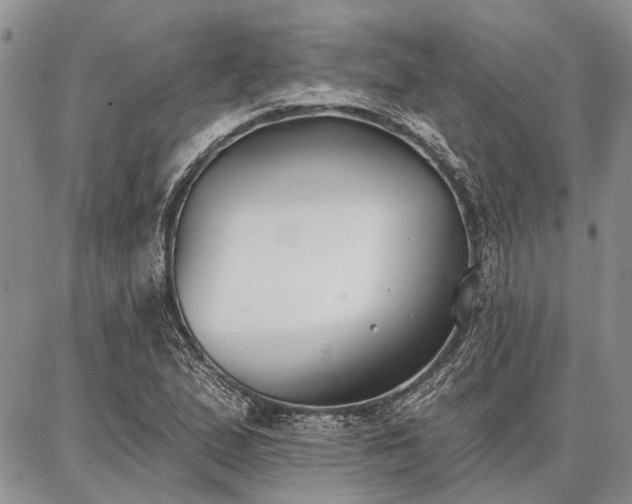 X0000086881167200704231055