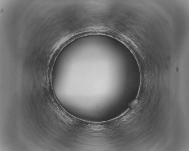 X0000086881168200704231055