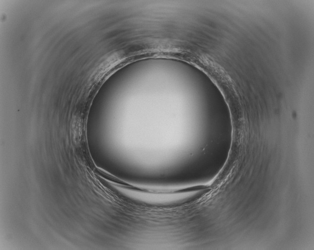 X0000086881169200704231055