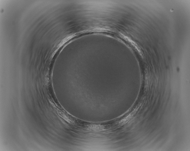 X0000086881170200704231055