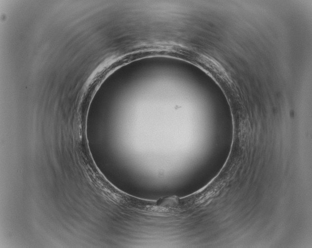 X0000086881172200704231055