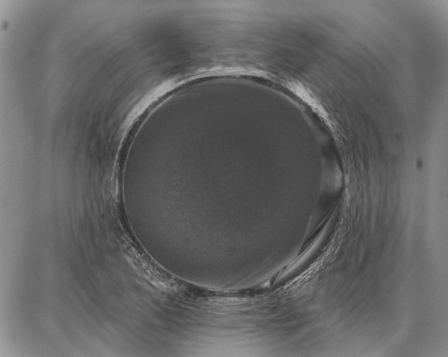 X0000086881173200704231055