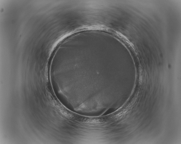 X0000086881174200704231055