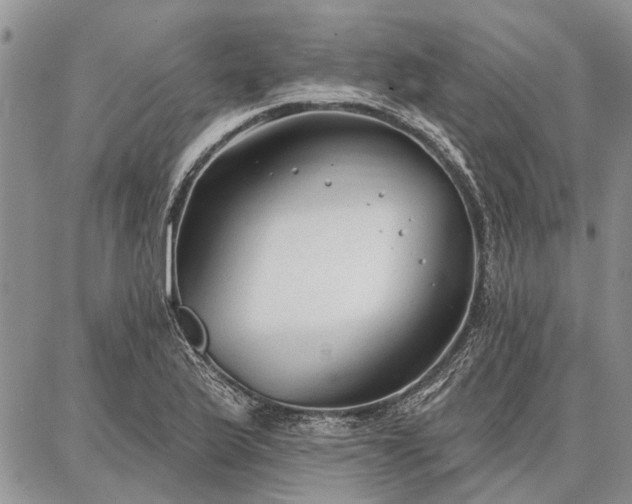 X0000086881175200704231055