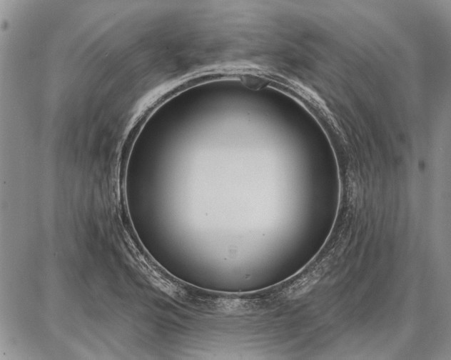 X0000086881176200704231055