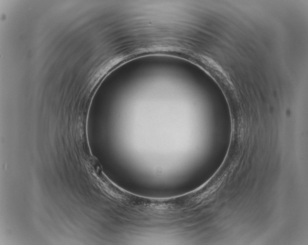 X0000086881177200704231055