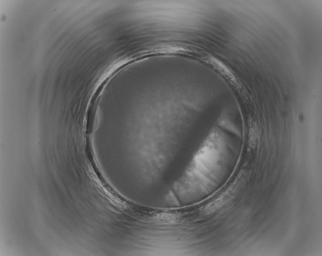 X0000086881178200704231055