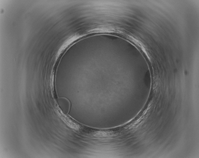 X0000086881179200704231055