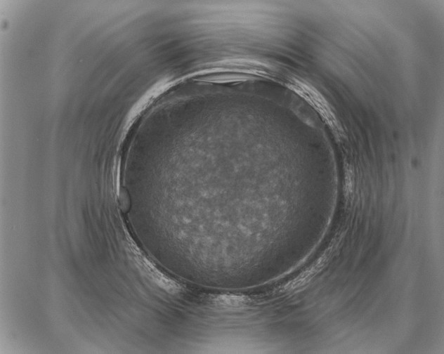 X0000086881180200704231055