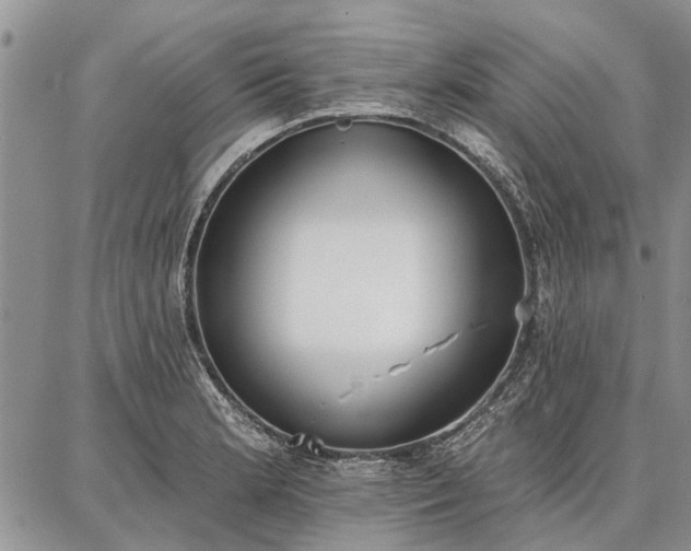 X0000086881181200704231055