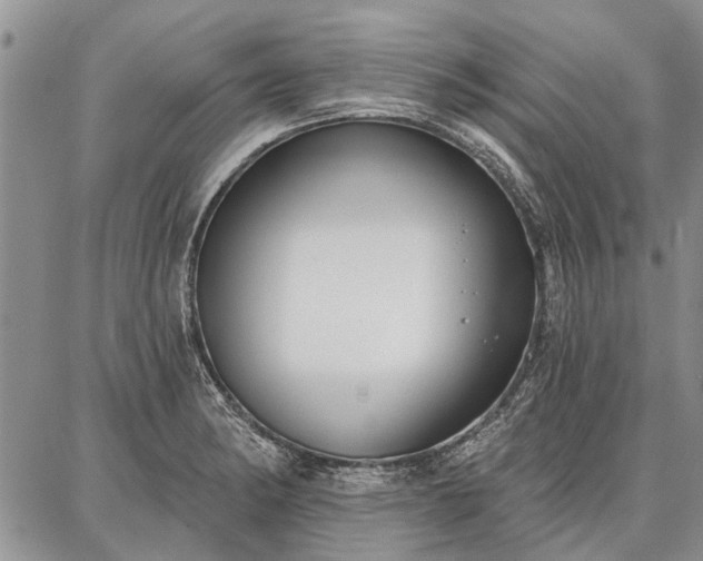 X0000086881182200704231055