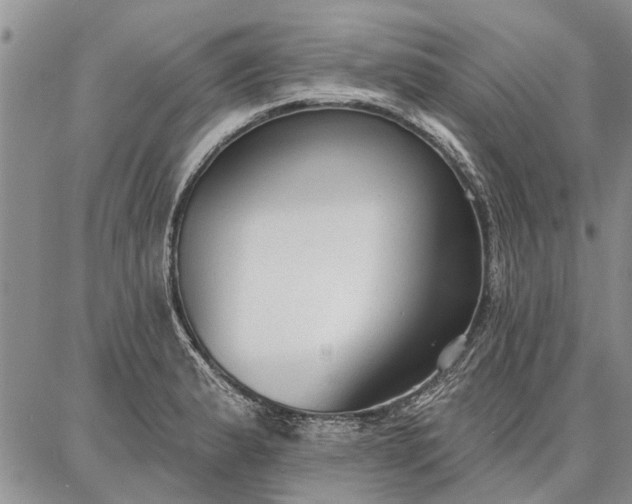 X0000086881183200704231055