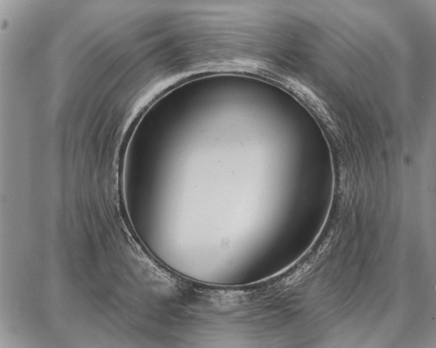 X0000086881184200704231055