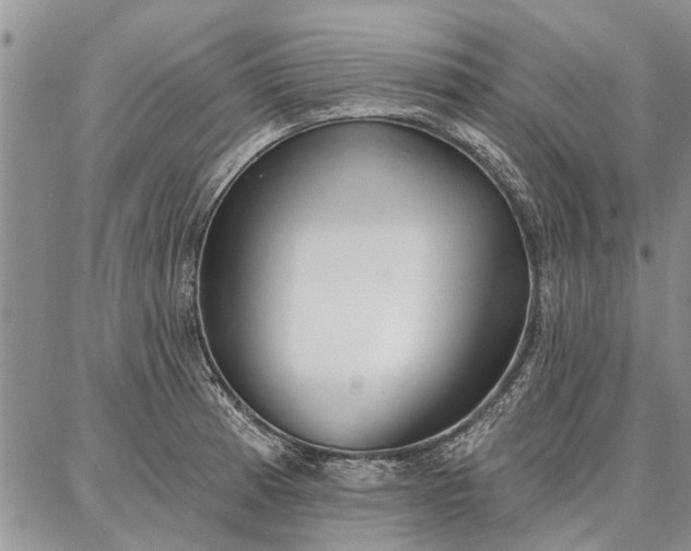 X0000086881185200704231055