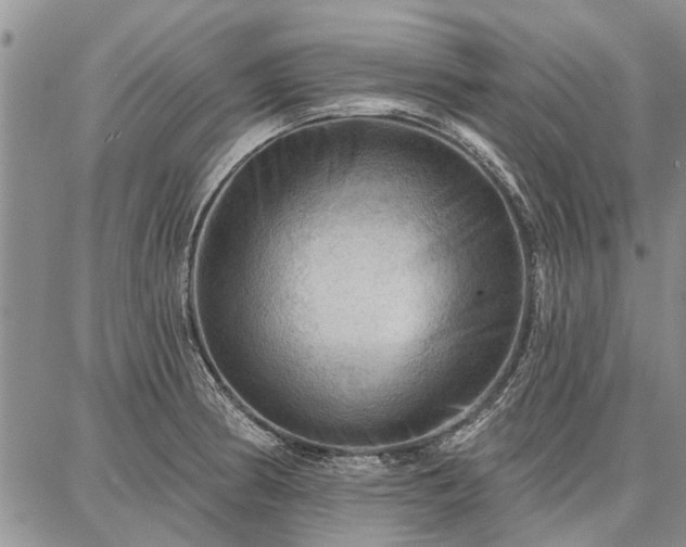 X0000086881186200704231055