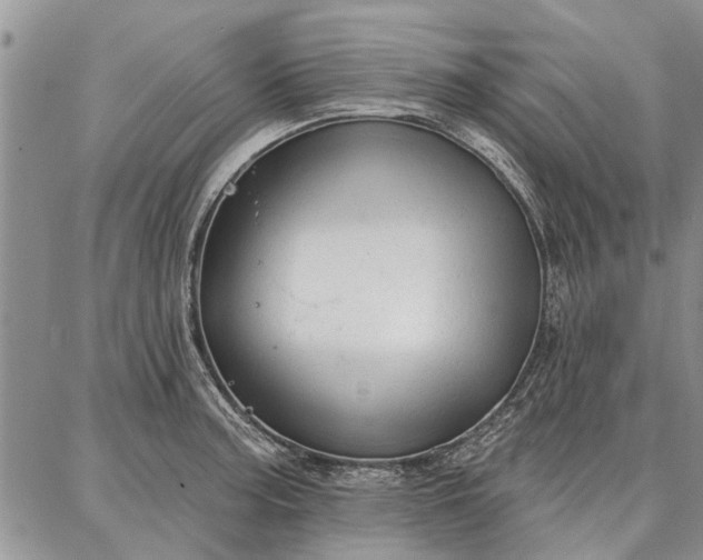 X0000086881187200704231055