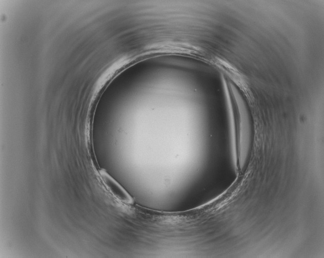 X0000086881188200704231055