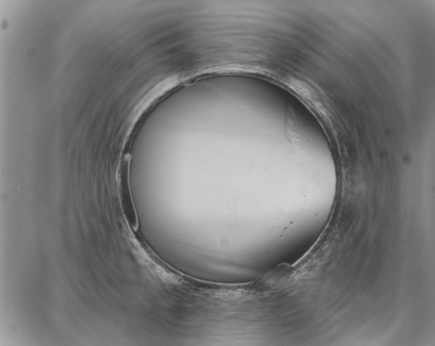 X0000086881189200704231055