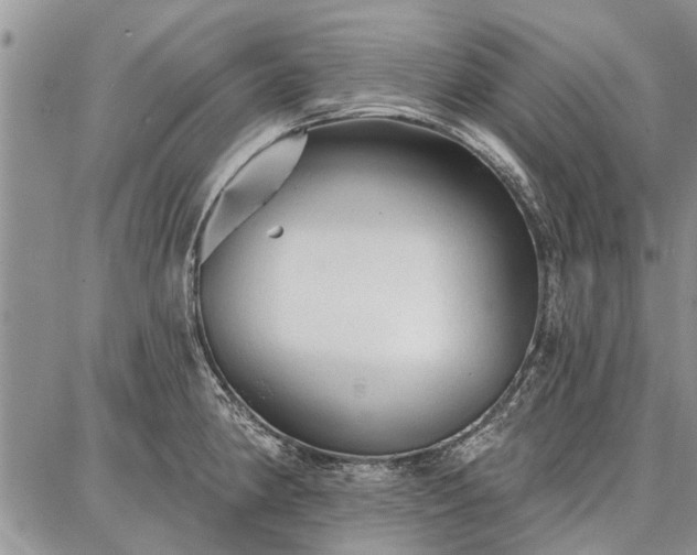 X0000086881190200704231055