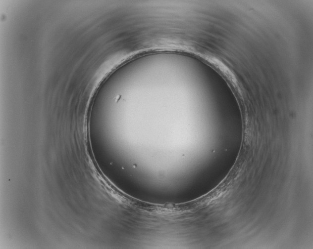 X0000086881191200704231055