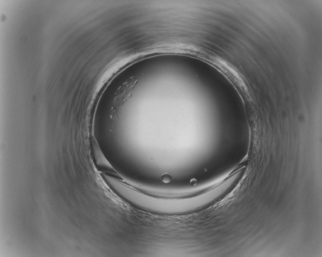 X0000086881192200704231055