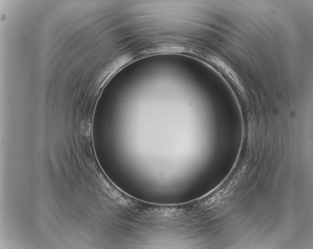 X0000086881193200704231055