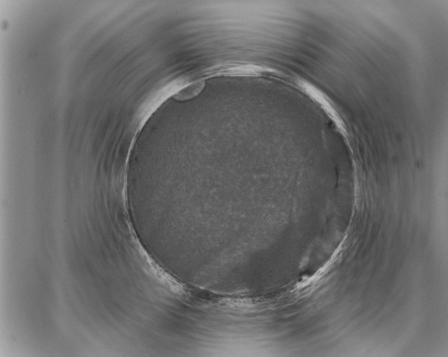 X0000086881194200704231055