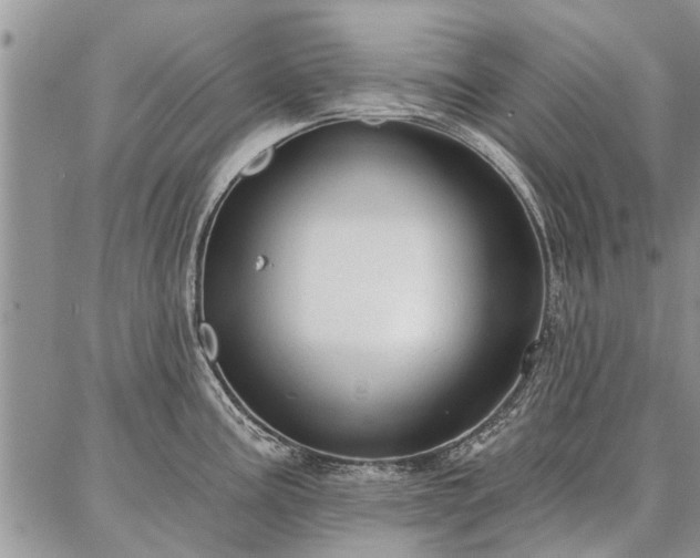 X0000086881195200704231055