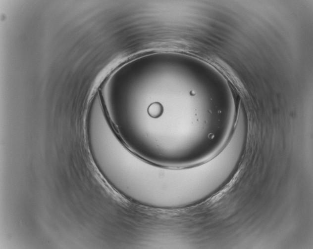 X0000086881196200704231055