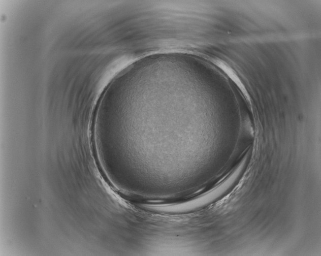 X0000086881197200704231055