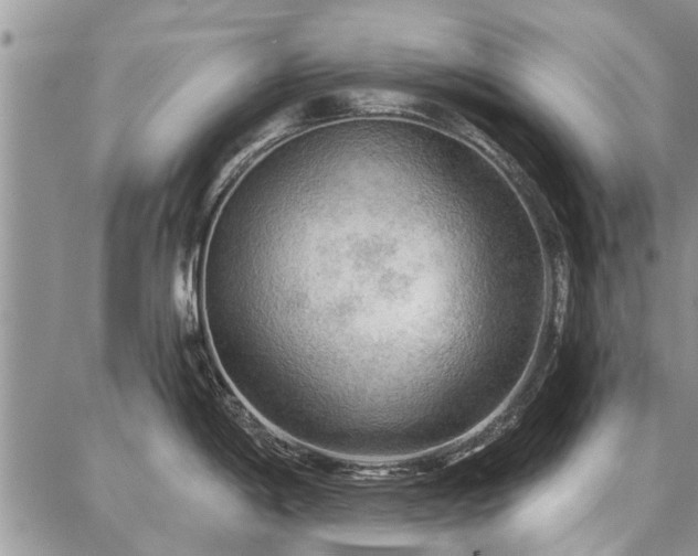 X0000086881198200704231055