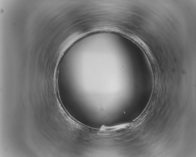 X0000086881199200704231055