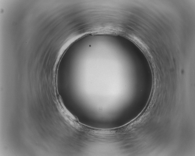 X0000086881200200704231055