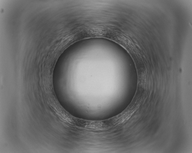 X0000086881201200704231054