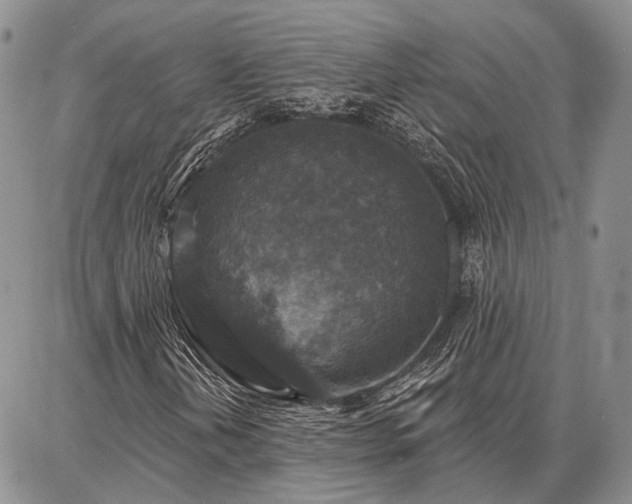 X0000086881202200704231054