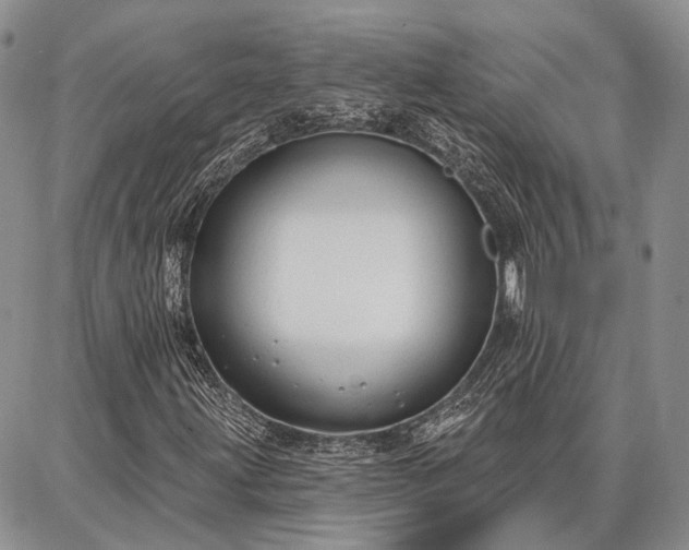 X0000086881203200704231054