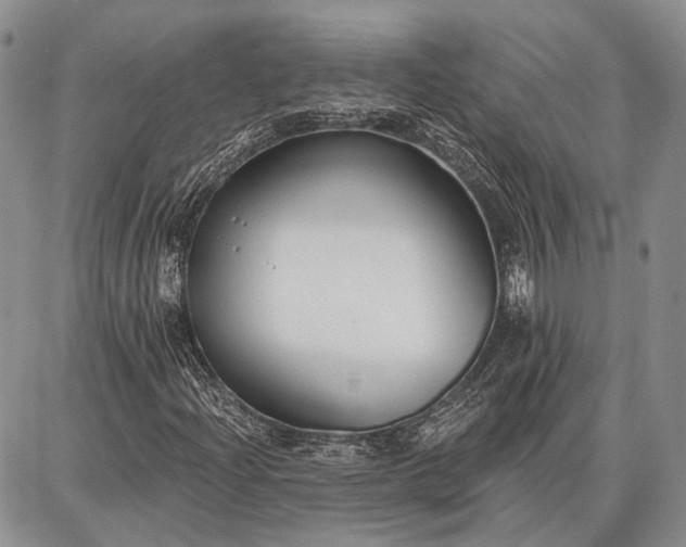 X0000086881204200704231054