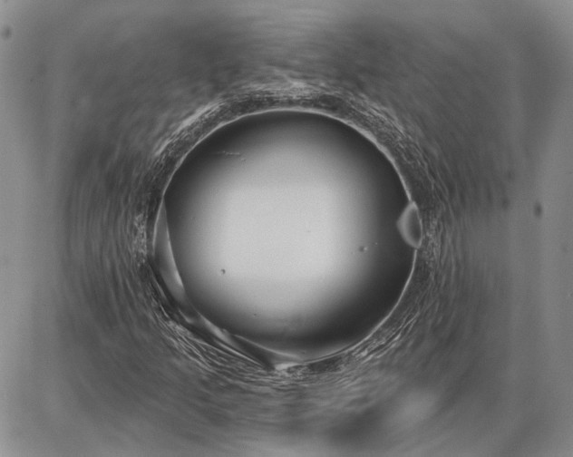 X0000086881205200704231054