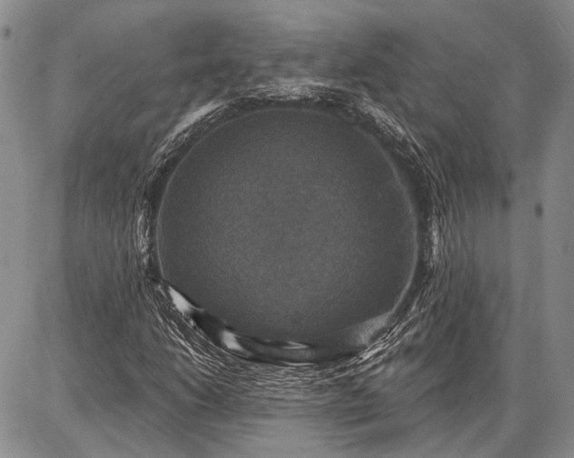 X0000086881206200704231054