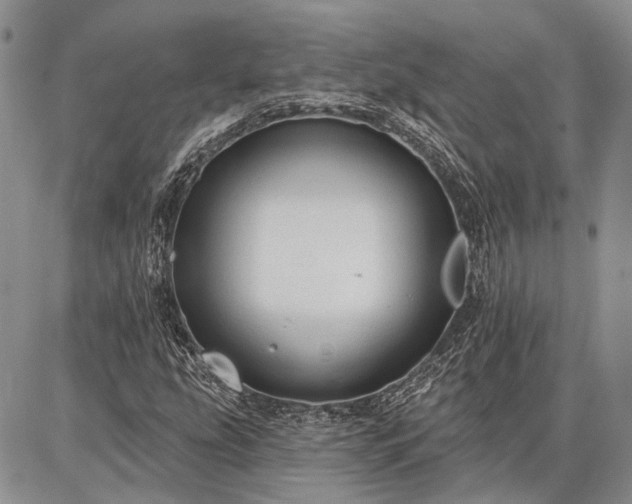 X0000086881207200704231054