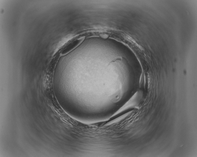 X0000086881208200704231054