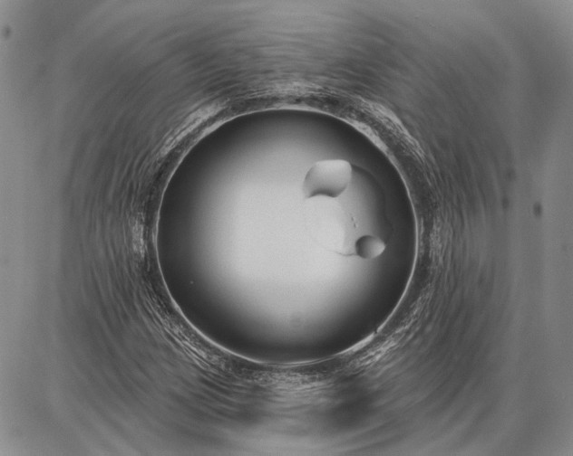 X0000086881209200704231054