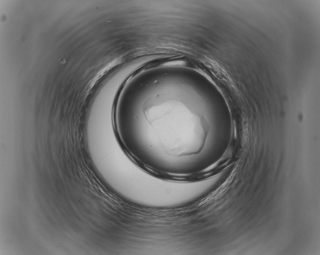 X0000086881210200704231054