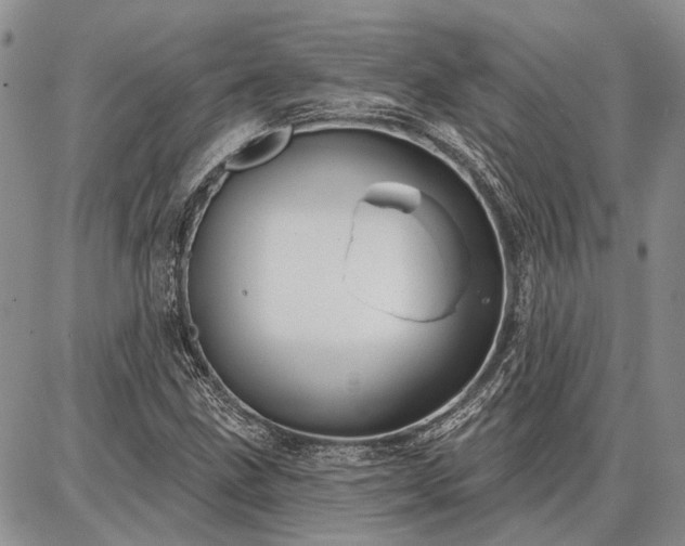 X0000086881211200704231054