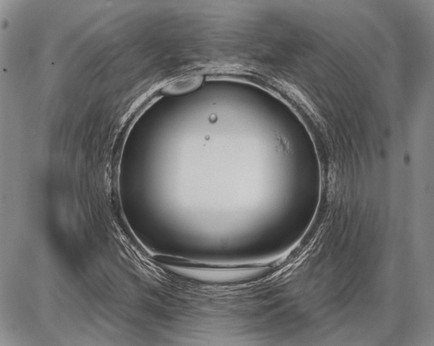 X0000086881212200704231054